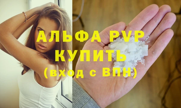 индика Алексин