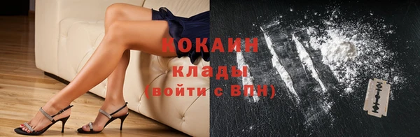индика Алексин