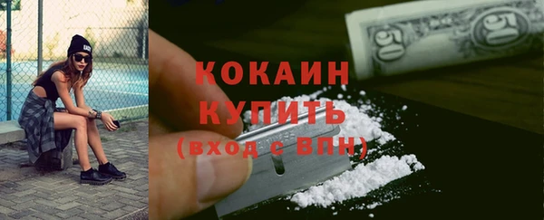 индика Алексин