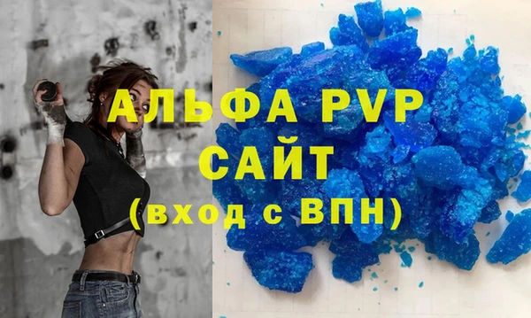 индика Алексин