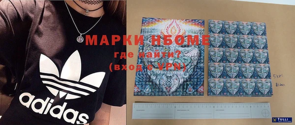 индика Протвино