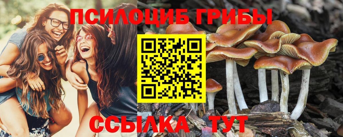 Галлюциногенные грибы Magic Shrooms  Вход с VPN  Кореновск 